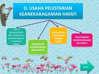 D. USAHA PELESTARIAN
KEANEKARAGAMAN HAYATI
usaha
penyelamatan
dan pelestarian
keanekaragama
n makhluk
hidup HILANGNYA
KEANEKARAGA
MAN HAYATI
PELESTARIAN
KEANEKARAGAM
AN HAYATI
KONSERVASI
KEANEKARA
GAMAN
HAYATI
NEXT