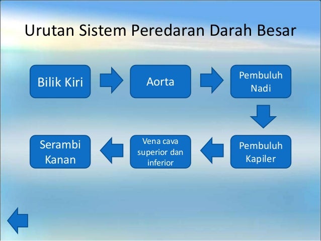 Gambar Sistem Peredaran Darah Besar Dan Sistem Peredaran Darah Kecil Tempat Berbagi Gambar Gambar Sistem Peredaran Darah Besar Dan Sistem Peredaran Darah Kecil Tempat Berbagi Gambar