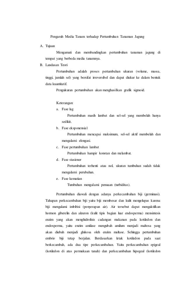 Laporan Biologi Tentang Pertumbuhan Tanaman Jagung
