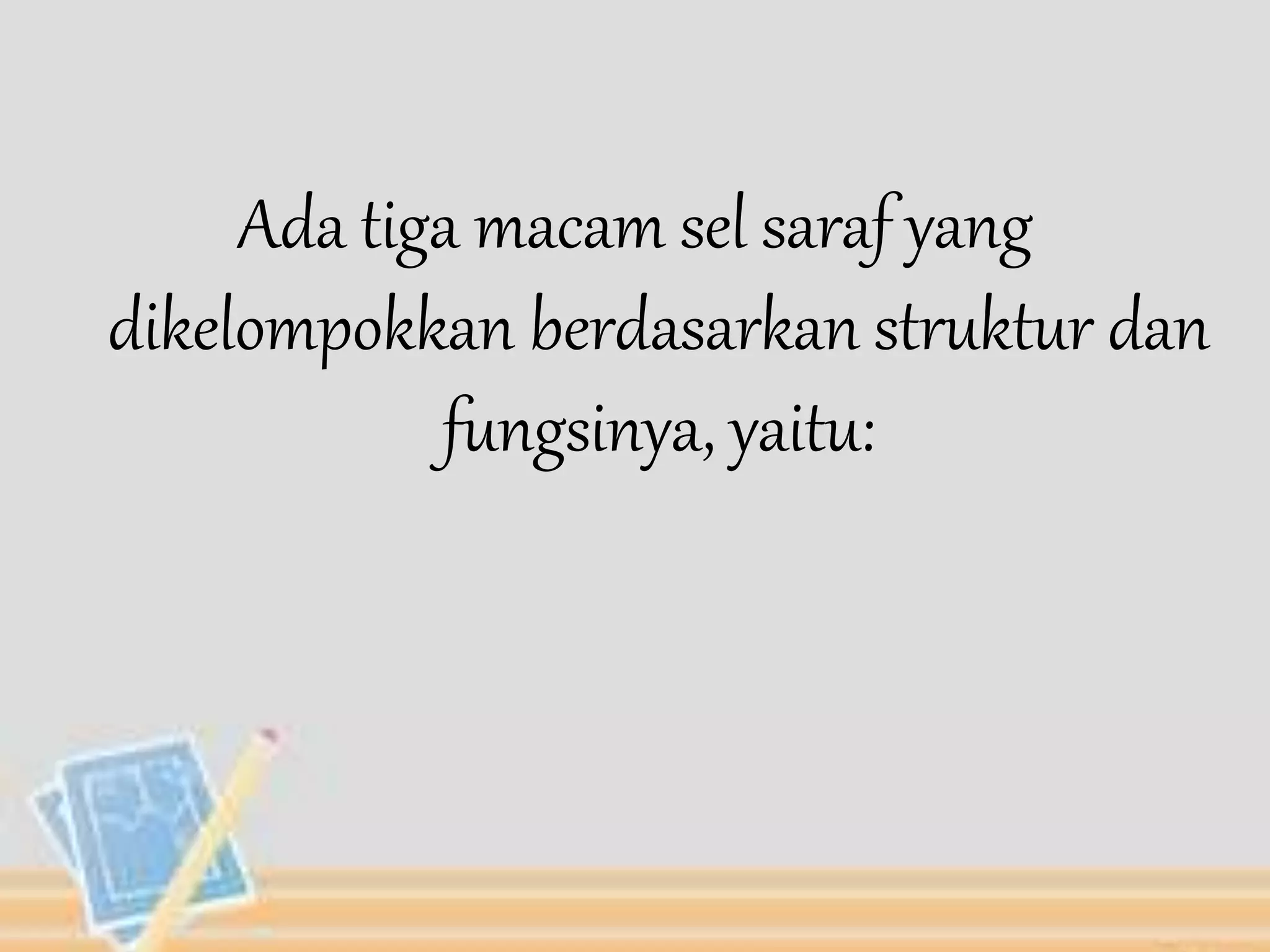 Ada tiga macam sel saraf yang 
dikelompokkan berdasarkan struktur dan 
fungsinya, yaitu: 
 