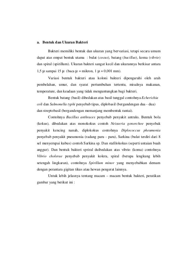 Biologi 40954916