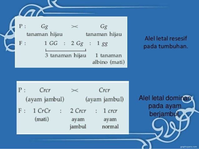 Pola Hereditas Pola Hereditas