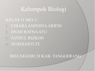 Kelompok Biologi 
KELAS 11 MIA 1: 
1. CHIARA ANINDYA ARIFIN 
2. DYAH RATNA AYU 
3. FATHUL RIZKOH 
4. NURDIASTUTI 
SMA NEGERI 28 KAB. TANGGERANG 
 