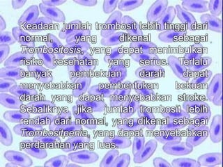 Keadaan jumlah trombosit lebih tinggi dari 
normal, yang dikenal sebagai 
Trombositosis, yang dapat menimbulkan 
risiko kesehatan yang serius. Terlalu 
banyak pembekuan darah dapat 
menyebabkan pembentukan bekuan 
darah yang dapat menyebabkan stroke. 
Sebaliknya ,jika jumlah trombosit lebih 
rendah dari normal, yang dikenal sebagai 
Trombositpenia, yang dapat menyebabkan 
perdarahan yang luas. 
 