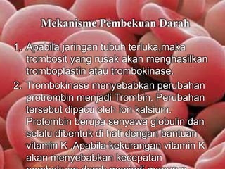 Mekanisme Pembekuan Darah 
1. Apabila jaringan tubuh terluka,maka 
trombosit yang rusak akan menghasilkan 
tromboplastin atau trombokinase. 
2. Trombokinase menyebabkan perubahan 
protrombin menjadi Trombin. Perubahan 
tersebut dipacu oleh ion kalsium. 
Protombin berupa senyawa globulin dan 
selalu dibentuk di hati dengan bantuan 
vitamin K .Apabila kekurangan vitamin K 
akan menyebabkan kecepatan 
pembekuan darah menjadi menurun. 
 