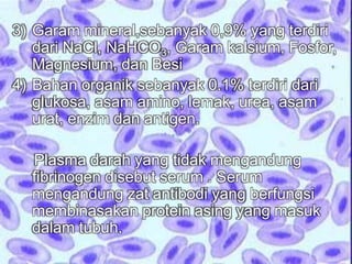 3) Garam mineral,sebanyak 0,9% yang terdiri 
dari NaCl, NaHCO3, Garam kalsium, Fosfor, 
Magnesium, dan Besi 
4) Bahan organik sebanyak 0.1% terdiri dari 
glukosa, asam amino, lemak, urea, asam 
urat, enzim dan antigen. 
Plasma darah yang tidak mengandung 
fibrinogen disebut serum . Serum 
mengandung zat antibodi yang berfungsi 
membinasakan protein asing yang masuk 
dalam tubuh. 
 