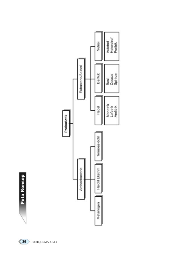 Biologi
