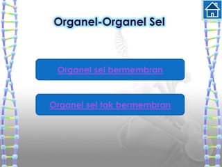 Organel-Organel Sel
Organel sel bermembran
Organel sel tak bermembran
 