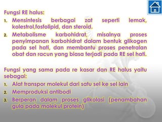 Fungsi RE halus:
1. Mensintesis berbagai zat seperti lemak,
kolestrol,fosfolipid, dan steroid.
2. Metabolisme karbohidrat, misalnya proses
penyimpanan karbohidrat dalam bentuk glikogen
pada sel hati, dan membantu proses penetralan
obat dan racun yang biasa terjadi pada RE sel hati.
Fungsi yang sama pada re kasar dan RE halus yaitu
sebagai:
1. Alat transpor molekul dari satu sel ke sel lain
2. Memproduksi antibodi
3. Berperan dalam proses glikolasi (penambahan
gula pada molekul protein)
 