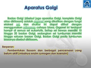 Aparatus Golgi
Badan Golgi (disebut juga aparatus Golgi, kompleks Golgi
atau diktiosom) adalah organel yang dikaitkan dengan fungsi
ekskresi sel, dan struktur ini dapat dilihat dengan
menggunakan mikroskop cahaya biasa. Organel ini terdapat
hampir di semua sel eukariotik. Setiap sel hewan memiliki 10
hingga 20 badan Golgi, sedangkan sel tumbuhan memiliki
hingga ratusan badan Golgi. Badan Golgi pada tumbuhan
biasanya disebut diktiosom.
Berperan:
Pembentukan lisosom dan berbagai pencernaan yang
belum aktif (misalnya enzim zymogen dan koenzim)
 