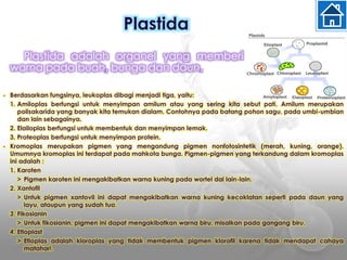 • Berdasarkan fungsinya, leukoplas dibagi menjadi tiga, yaitu:
1. Amiloplas berfungsi untuk menyimpan amilum atau yang sering kita sebut pati. Amilum merupakan
polisakarida yang banyak kita temukan dialam. Contohnya pada batang pohon sagu, pada umbi-umbian
dan lain sebagainya.
2. Elailoplas berfungsi untuk membentuk dan menyimpan lemak.
3. Proteoplas berfungsi untuk menyimpan protein.
• Kromoplas merupakan pigmen yang mengandung pigmen nonfotosintetik (merah, kuning, orange).
Umumnya kromoplas ini terdapat pada mahkota bunga. Pigmen-pigmen yang terkandung dalam kromoplas
ini adalah :
1. Karoten
> Pigmen karoten ini mengakibatkan warna kuning pada wortel dal lain-lain.
2. Xantofil
> Untuk pigmen xantovil ini dapat mengakibatkan warna kuning kecoklatan seperti pada daun yang
layu, ataupun yang sudah tua.
3. Fikosianin
> Untuk fikosianin, pigmen ini dapat mengakibatkan warna biru, misalkan pada gangang biru.
4. Etioplast
> Etioplas adalah kloroplas yang tidak membentuk pigmen klorofil karena tidak mendapat cahaya
matahari.
Plastida
Plastida adalah organel yang memberi
warna pada buah, bunga dan daun.
 