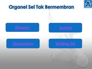 Organel Sel Tak Bermembran
Ribosom
Sitoskeleton
Sentriol
Dinding Sel
 
