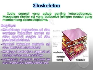 Fungsinya:
• Mendukung pergerakan sel dan
menjaga kestabilan bentuk sel
atau menjadi rangka sel dan
pemberi bentuk sel.
• Pemberi kekuatan mekanik sel
dan pembantu motilitas sel
• Menjaga keseluruhan organel sel
supaya tetap pada posisinya
• Membantu gerakan kromoso ke
arah kutub saat pembelahan sel.
Sitoskeleton
Suatu organel yang cukup penting keberadaannya.
Merupakan struktur sel yang berbentuk jaringan serabut yang
membentang dalam sitoplasma.
 