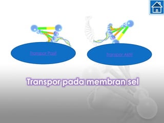 Transpor pada membran sel
Transpor Pasif Transpor Aktif
 