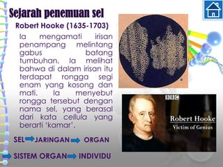 Ia mengamati irisan
penampang melintang
gabus batang
tumbuhan. Ia melihat
bahwa di dalam irisan itu
terdapat rongga segi
enam yang kosong dan
mati. Ia menyebut
rongga tersebut dengan
nama sel, yang berasal
dari kata cellula yang
berarti ‘kamar’.
Sejarah penemuan sel
Robert Hooke (1635-1703)
SEL JARINGAN ORGAN
SISTEM ORGAN INDIVIDU
 