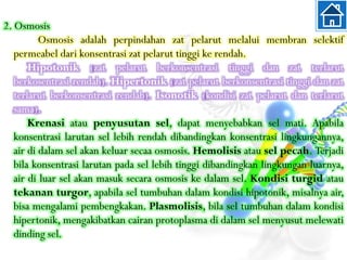 2. Osmosis
Osmosis adalah perpindahan zat pelarut melalui membran selektif
permeabel dari konsentrasi zat pelarut tinggi ke rendah.
Hipotonik (zat pelarut berkonsentrasi tinggi dan zat terlarut
berkosentrasi rendah). Hipertonik (zat pelarut berkonsentrasi tinggi dan zat
terlarut berkonsentrasi rendah). Isonotik (kondisi zat pelarut dan terlarut
sama).
Krenasi atau penyusutan sel, dapat menyebabkan sel mati. Apabila
konsentrasi larutan sel lebih rendah dibandingkan konsentrasi lingkungannya,
air di dalam sel akan keluar secaa osmosis. Hemolisis atau sel pecah. Terjadi
bila konsentrasi larutan pada sel lebih tinggi dibandingkan lingkungan luarnya,
air di luar sel akan masuk secara osmosis ke dalam sel. Kondisi turgid atau
tekanan turgor, apabila sel tumbuhan dalam kondisi hipotonik, misalnya air,
bisa mengalami pembengkakan. Plasmolisis, bila sel tumbuhan dalam kondisi
hipertonik, mengakibatkan cairan protoplasma di dalam sel menyusut melewati
dinding sel.
 
