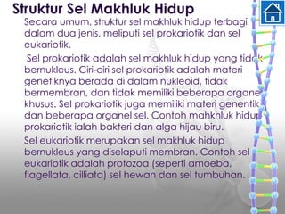 Struktur Sel Makhluk Hidup
Secara umum, struktur sel makhluk hidup terbagi
dalam dua jenis, meliputi sel prokariotik dan sel
eukariotik.
Sel prokariotik adalah sel makhluk hidup yang tidak
bernukleus. Ciri-ciri sel prokariotik adalah materi
genetiknya berada di dalam nukleoid, tidak
bermembran, dan tidak memiliki beberapa organel
khusus. Sel prokariotik juga memiliki materi genentik
dan beberapa organel sel. Contoh mahkhluk hidup
prokariotik ialah bakteri dan alga hijau biru.
Sel eukariotik merupakan sel makhluk hidup
bernukleus yang diselaputi membran. Contoh sel
eukariotik adalah protozoa (seperti amoeba,
flagellata, cilliata) sel hewan dan sel tumbuhan.
 