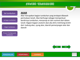 ORGAN TUMBUHAN
AKAR
Akar merupakan bagian tumbuhan yang terdapat dibawah
permukaan tanah. Akar berfungsi sebagai memperkuat
berdirinya tumbuhan, menyerap air dan nutrient dari dalam
tanah. Bagian-bagian anatomi akar jika diiris melintang terdiri
dari: tudung akar, ujung akar, daerah pemanjangan akar dan
daerah
Sel tumbuhan
Organ tumbuhan
Jaringan tumbuhan
Proses Fisiologi pada
tumbuhan
KOMPONEN GAMBARPENGENALAN
NEXTBACK
 