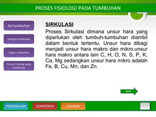 PROSES FISIOLOGI PADA TUMBUHAN
SIRKULASI
Proses Sirkulasi dimana unsur hara yang
diperlukan oleh tumbuh-tumbuhan diambil
dalam bentuk tertentu. Unsur hara dibagi
menjadi unsur hara makro dan mikro.unsur
hara makro antara lain C, H, O, N, S, P, K,
Ca, Mg sedangkan unsur hara mikro adalah
Fe, B, Cu, Mn, dan Zn.
Sel tumbuhan
Organ tumbuhan
Jaringan tumbuhan
Proses Fisiologi pada
tumbuhan
KOMPONEN GAMBARPENGENALAN
NEXT
 