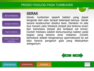 GERAK
Gerak, tumbuhan seperti bakteri yang dapat
bergerak dari satu tempat ketempat lainnya. Gerak
secara keseluruhan disebut taxis. Gerakan ini ada
dua macam yaitu fototaxis (terjadi jika terkena sinar)
dan kemotaxis (terjadi jika terdapat zat kimia).
Contoh fototaxis adalah berkumpulnya bakteri pada
bagian yang terkena sinar matahari. Contoh
kemotaxis adalah bergeraknya spermatozoid ke sel
telur karena pengaruh gula yang dikeluarkan
arkegonium.
PROSES FISIOLOGI PADA TUMBUHAN
Sel tumbuhan
Organ tumbuhan
Jaringan tumbuhan
Proses Fisiologi pada
tumbuhan
KOMPONEN GAMBARPENGENALAN
NEXTBACK
 