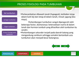 20
•Perkecambahan dibawah tanah (hypogeal), kotiledon tetap
dalam kulit biji dan tetap di dalam tanah, missal: jagung (Zea
mays).
Perkembangan tumbuhan sangat dipengaruhi oleh
beberapa factor, diantaranya: ketersediaan nutrisi di dalam
tanah dan hormon tumbuh yang dihasilkan oleh tumbuhan itu
sendiri.
•Perkembangan sekunder terjadi pada daerah batang yang
mengandung cambium sehingga semakin bertambah usia
tumbuhan akan menjadi besar batangnya.
PROSES FISIOLOGI PADA TUMBUHAN
Sel tumbuhan
Organ tumbuhan
Jaringan tumbuhan
Proses Fisiologi pada
tumbuhan
KOMPONEN GAMBARPENGENALAN
NEXTBACK
 