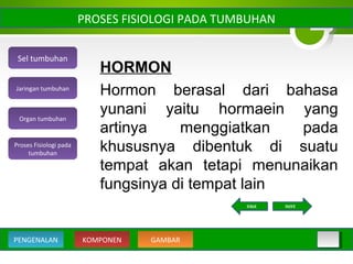 HORMON
Hormon berasal dari bahasa
yunani yaitu hormaein yang
artinya menggiatkan pada
khususnya dibentuk di suatu
tempat akan tetapi menunaikan
fungsinya di tempat lain
PROSES FISIOLOGI PADA TUMBUHAN
Sel tumbuhan
Organ tumbuhan
Jaringan tumbuhan
Proses Fisiologi pada
tumbuhan
KOMPONEN GAMBARPENGENALAN
NEXTBACK
 