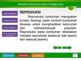 REPRODUKSI
Reproduksi tumbuhan merupakan
proses fisiologi pada tumbuh-tumbuhan
dewasa untuk menghasilkan keturunan
dan memperbanyak populasi.
Reproduksi pada tumbuhan dibedakan
menjadi reproduksi aseksual (tak kawin)
dan seksual (kawin).
PROSES FISIOLOGI PADA TUMBUHAN
Sel tumbuhan
Organ tumbuhan
Jaringan tumbuhan
Proses Fisiologi pada
tumbuhan
KOMPONEN GAMBARPENGENALAN
NEXTBACK
 