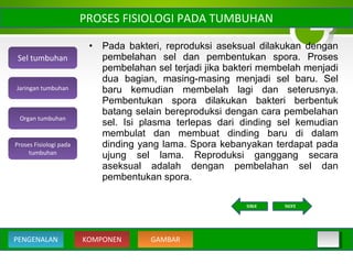 • Pada bakteri, reproduksi aseksual dilakukan dengan
pembelahan sel dan pembentukan spora. Proses
pembelahan sel terjadi jika bakteri membelah menjadi
dua bagian, masing-masing menjadi sel baru. Sel
baru kemudian membelah lagi dan seterusnya.
Pembentukan spora dilakukan bakteri berbentuk
batang selain bereproduksi dengan cara pembelahan
sel. Isi plasma terlepas dari dinding sel kemudian
membulat dan membuat dinding baru di dalam
dinding yang lama. Spora kebanyakan terdapat pada
ujung sel lama. Reproduksi ganggang secara
aseksual adalah dengan pembelahan sel dan
pembentukan spora.
PROSES FISIOLOGI PADA TUMBUHAN
Sel tumbuhan
Organ tumbuhan
Jaringan tumbuhan
Proses Fisiologi pada
tumbuhan
KOMPONEN GAMBARPENGENALAN
NEXTBACK
 