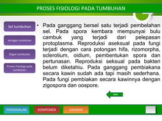 • Pada ganggang bersel satu terjadi pembelahan
sel. Pada spora kembara mempunyai bulu
cambuk yang terjadi dari pelepasan
protoplasma. Reproduksi aseksual pada fungi
terjadi dengan cara potongan hifa, rizomorpha,
sclerotium, oidium, pembentukan spora dan
pertunasan. Reproduksi seksual pada bakteri
belum diketahiu. Pada ganggang pembiakana
secara kawin sudah ada tapi masih sederhana.
Pada fungi pembiakan secara kawinnya dengan
zigospora dan oospore.
PROSES FISIOLOGI PADA TUMBUHAN
Sel tumbuhan
Organ tumbuhan
Jaringan tumbuhan
Proses Fisiologi pada
tumbuhan
KOMPONEN GAMBARPENGENALAN
BACK
 