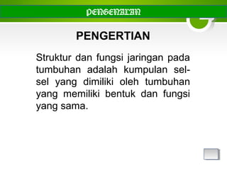 PENGERTIAN
Struktur dan fungsi jaringan pada
tumbuhan adalah kumpulan sel-
sel yang dimiliki oleh tumbuhan
yang memiliki bentuk dan fungsi
yang sama.
PENGENALAN
 