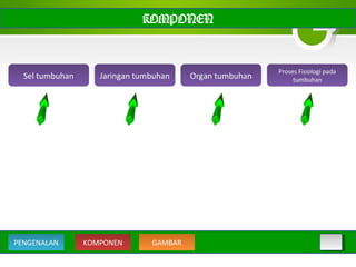 Sel tumbuhan Organ tumbuhanJaringan tumbuhan
Proses Fisiologi pada
tumbuhan
KOMPONEN
KOMPONEN GAMBARPENGENALAN
 