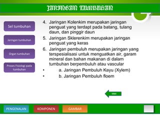 4. Jaringan Kolenkim merupakan jaringan
penguat yang terdapt pada batang, tulang
daun, dan pinggir daun
5. Jaringan Sklerenkim merupakan jaringan
penguat yang keras
6. Jaringan pembuluh merupakan jaringan yang
terspesialisasi untuk menguatkan air, garam
mineral dan bahan makanan di dalam
tumbuhan berpembuluh atau vascular
• a. Jaringan Pembuluh Kayu (Xylem)
• b. Jaringan Pembuluh floem
JARINGAN TUMBUHAN
Sel tumbuhan
Organ tumbuhan
Jaringan tumbuhan
Proses Fisiologi pada
tumbuhan
BACK
KOMPONEN GAMBARPENGENALAN
 