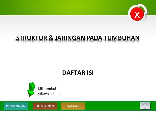 Struktur Dan Jaringan Pada Tumbuhan
