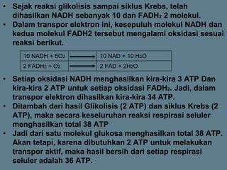 10 NADH + 5O2 10 NAD + 10 H2O
2 FADH2 + O2 2 FAD + 2H2O
• Sejak reaksi glikolisis sampai siklus Krebs, telah
dihasilkan NADH sebanyak 10 dan FADH2 2 molekul.
• Dalam transpor elektron ini, kesepuluh molekul NADH dan
kedua molekul FADH2 tersebut mengalami oksidasi sesuai
reaksi berikut.
• Setiap oksidasi NADH menghasilkan kira-kira 3 ATP Dan
kira-kira 2 ATP untuk setiap oksidasi FADH2. Jadi, dalam
transpor elektron dihasilkan kira-kira 34 ATP.
• Ditambah dari hasil Glikolisis (2 ATP) dan siklus Krebs (2
ATP), maka secara keseluruhan reaksi respirasi seluler
menghasilkan total 38 ATP
• Jadi dari satu molekul glukosa menghasilkan total 38 ATP.
Akan tetapi, karena dibutuhkan 2 ATP untuk melakukan
transpor aktif, maka hasil bersih dari setiap respirasi
seluler adalah 36 ATP.
 
