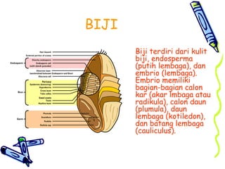 BIOLOGI.XI.1.pptlhkhjgchvbgjgmvbvjlmlljh | PPT