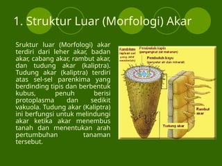 BIOLOGI.XI.1.pptlhkhjgchvbgjgmvbvjlmlljh | PPT