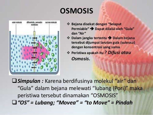 Menunjukkan gejala difusi dan osmosis