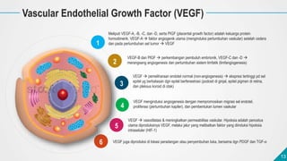 13
13
Vascular Endothelial Growth Factor (VEGF)
1
6
4
2
3
Meliputi VEGF-A, -B, -C, dan -D, serta PIGF (placental growth fa...
