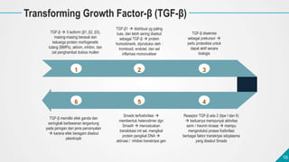 16
16
Transforming Growth Factor-β (TGF-β)
TGF-β memiliki efek ganda dan
seringkali berlawanan tergantung
pada jaringan da...