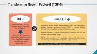 17
17
Transforming Growth Factor-β (TGF-β)
TGF-β
Beragamnya efek TGF-β 
dikatakan sebagai “pleiotropik
dgn pembalasan.”
•...