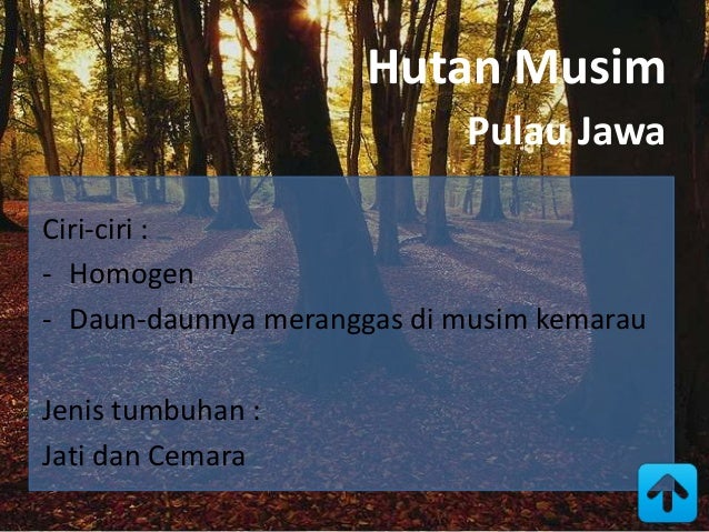 Biologi keanekaragaman hayati Biologi keanekaragaman hayati