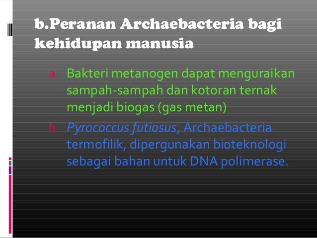 Biologi Monera