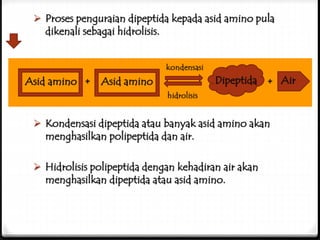  Proses penguraian dipeptida kepada asid amino pula
dikenali sebagai hidrolisis.
 Kondensasi dipeptida atau banyak asid amino akan
menghasilkan polipeptida dan air.
 Hidrolisis polipeptida dengan kehadiran air akan
menghasilkan dipeptida atau asid amino.
Asid amino + Asid amino + AirDipeptida
 