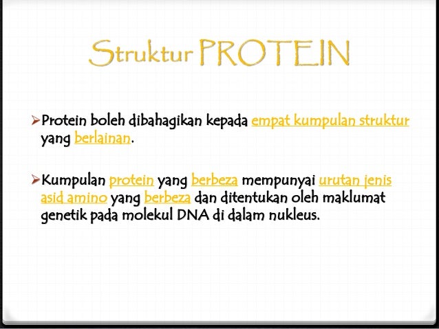 Biologi Protein