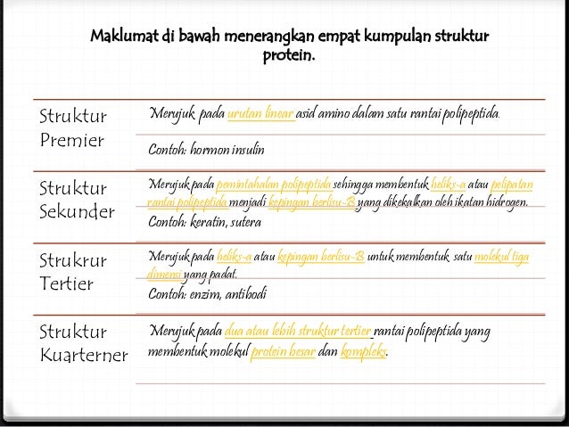 Biologi Protein