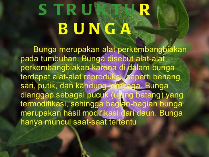 Biologi struktur dan fungsi jaringan tumbuhan