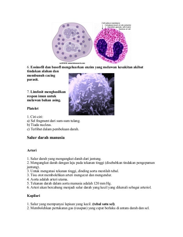Biologi Tingkatan 5 Bab 3  Modul perfect score biologi (tingkatan 5