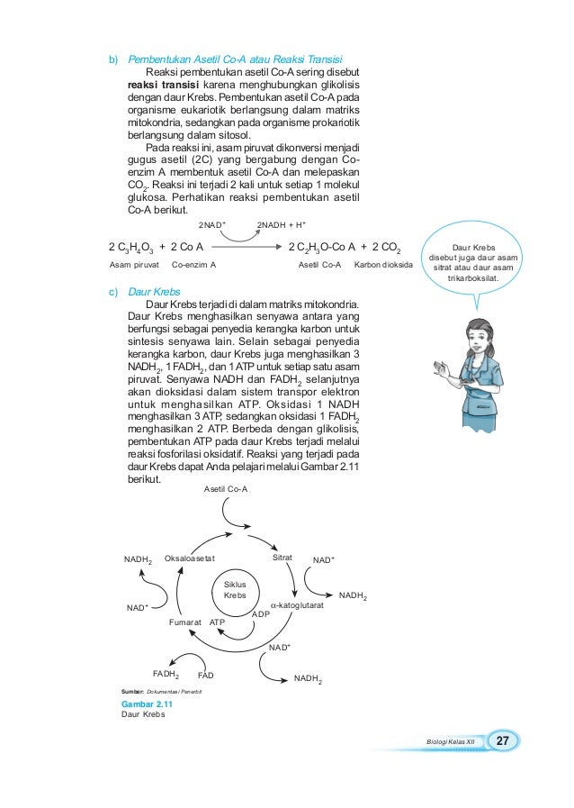 Biologi1