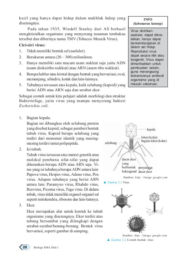 Biologi 1 HASRAN