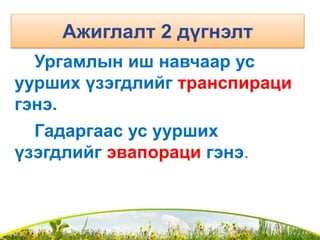 Ажиглалт 2 дүгнэлт
Ургамлын иш навчаар ус
уурших үзэгдлийг транспираци
гэнэ.
Гадаргаас ус уурших
үзэгдлийг эвапораци гэнэ.
 